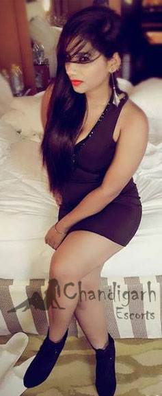 Aashna - Indian escort in Chandigarh photo 1 of 1