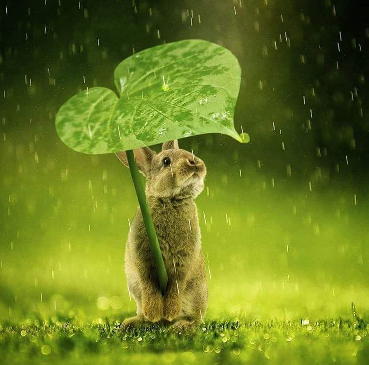 Anish - Indian escort in Saraswatipuram photo 1 of 1