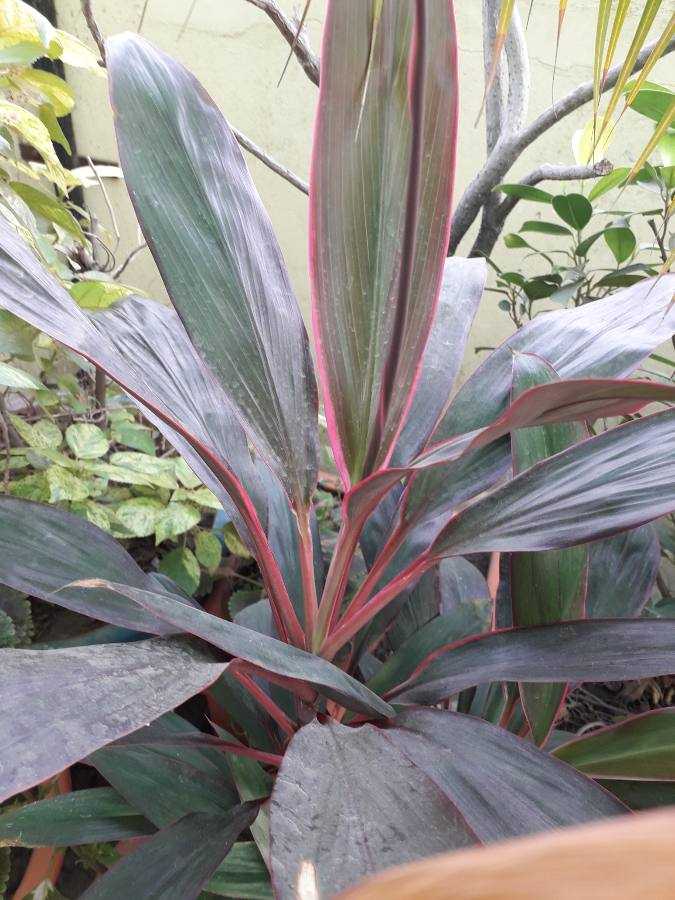 Karan - Indian escort in Saket Nagar photo 1 of 1