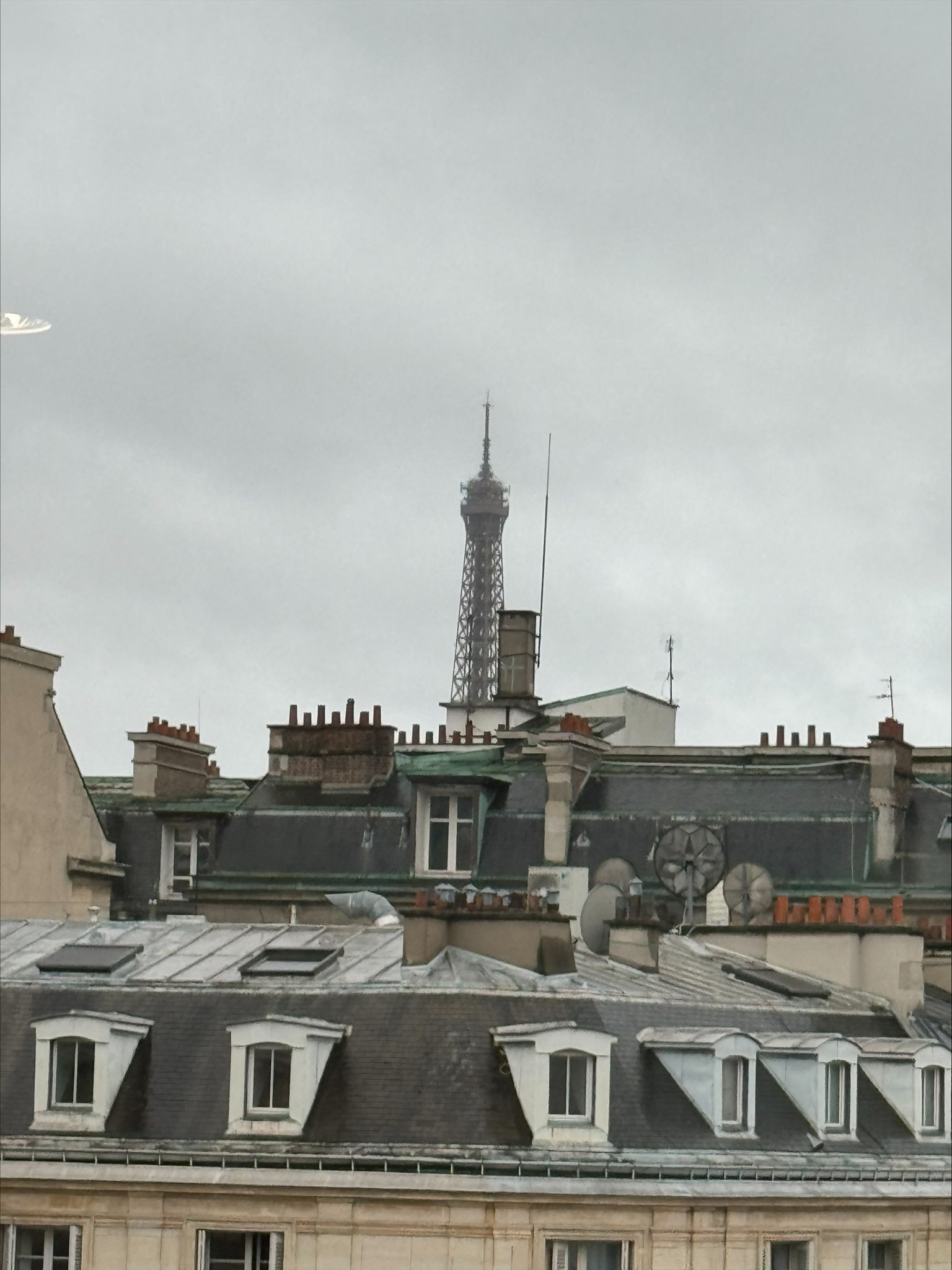 Carine - Mixed escort in Paris photo 1 of 1