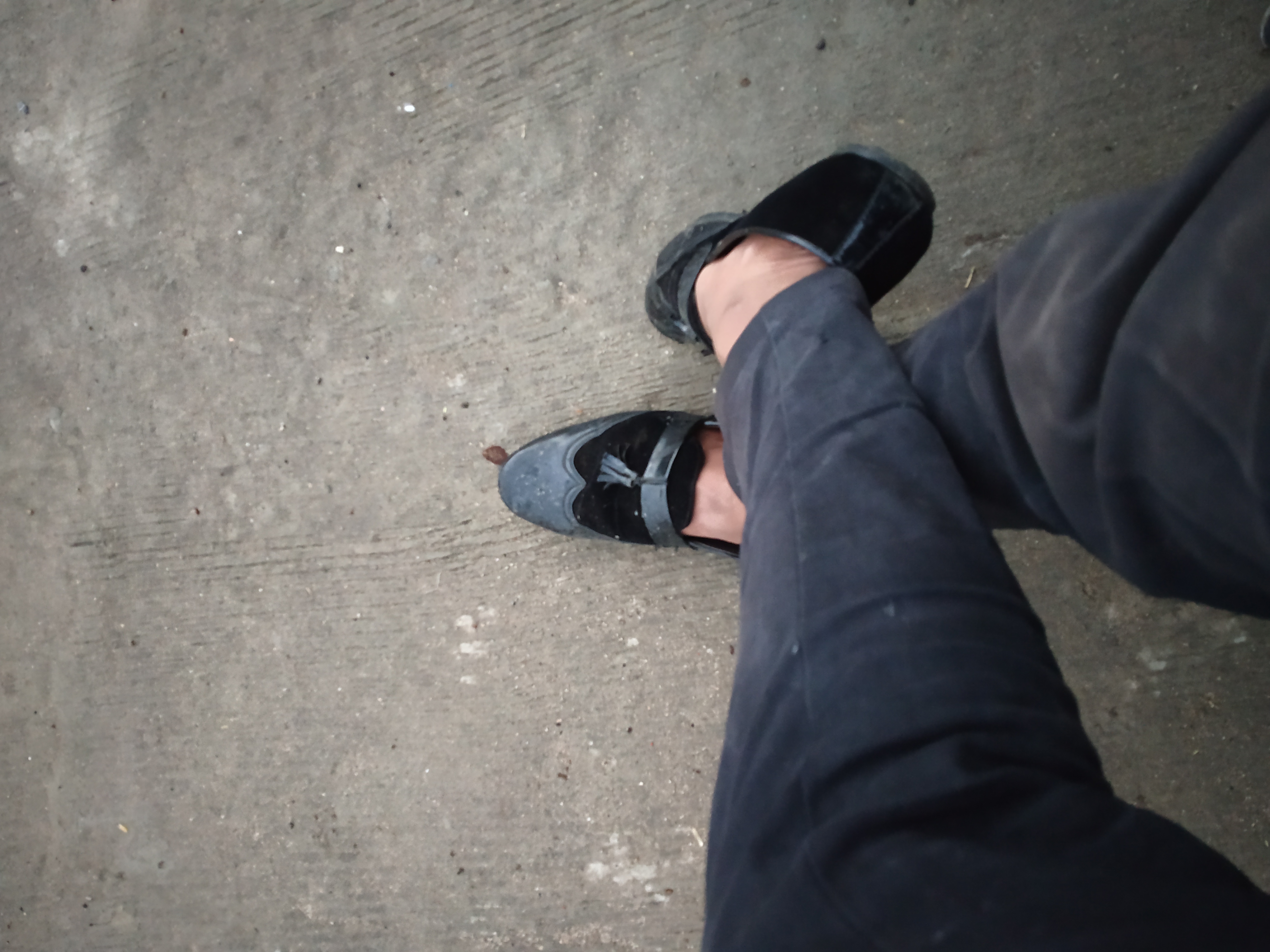 Vinay - Indian escort in Bhopal photo 1 of 1