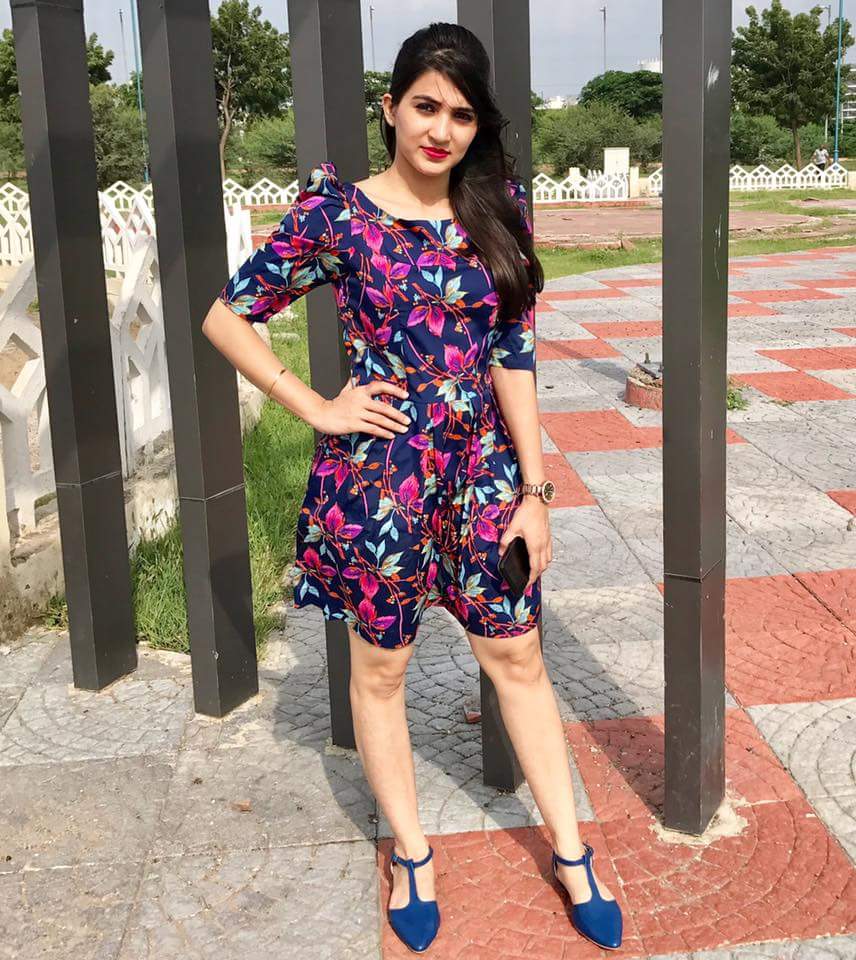 Hansi - Indian escort in Delhi photo 1 of 1