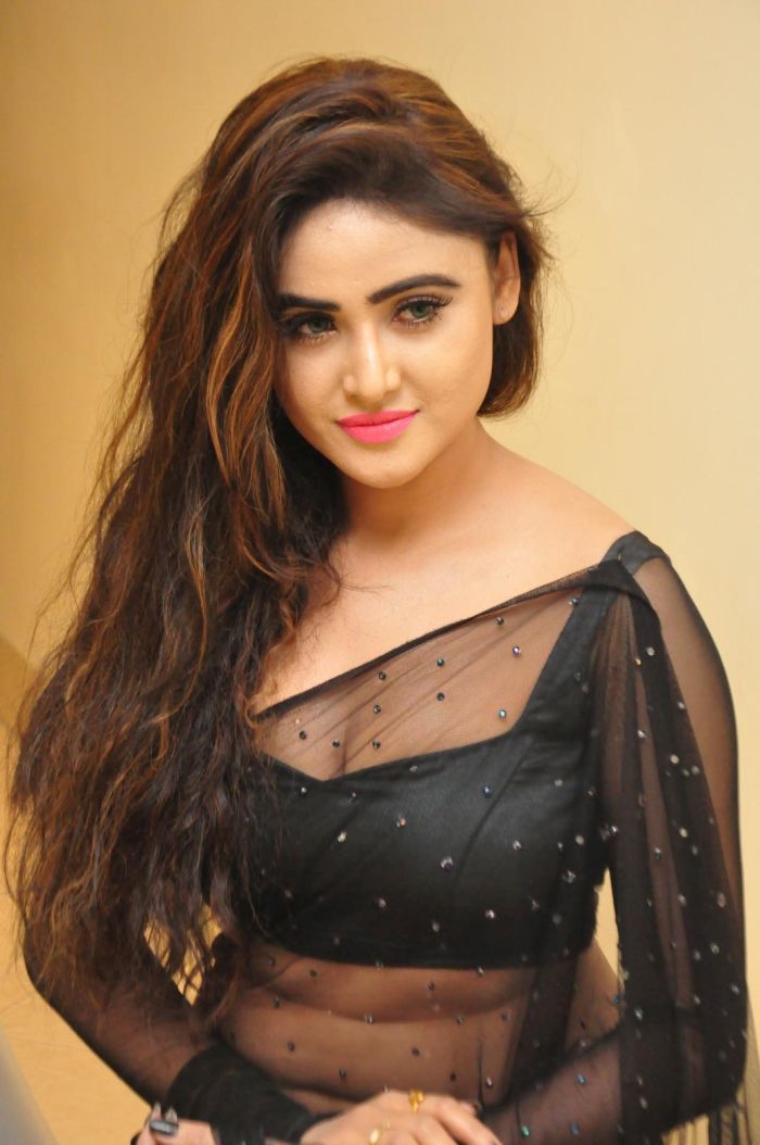 SONIAY - Indian escort in Delhi photo 1 of 1